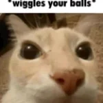 un-wiggles your balls