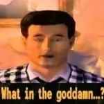 What in the godamn...?