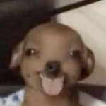 the journey is usualy the part you remember anyways