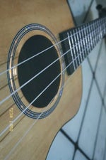 Alive Start Up Intro