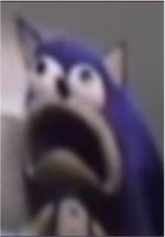 the most quiet next door neighbor