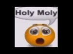 hole mole