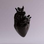 Boy's a liar - Sound