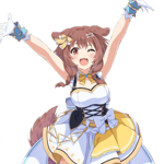 human is turtle Korone