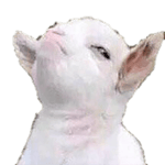 Hamlet Stuck On - What Doiing