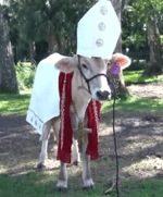 Bill Nye The Science Guy Theme Song But Im Screaming The Lyrics