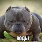 звук литвина - Sound