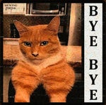 Bye Bye Mewing Phonk