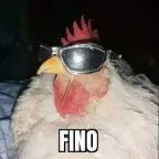 ela vira mortal phonk