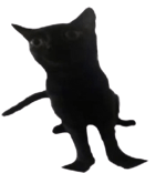 Attack of the Killer Queen