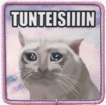 Tunteisiin