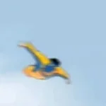 MONTAGEM RETINAL PLATINA