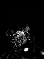 indian scammer microsoft store support 2