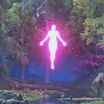 Please Please Please Let Me Get What I Want (2005 Remaster) 1