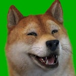 Hog Rider Sound Effect