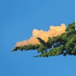 Ronaldo smiling and drinks on camera