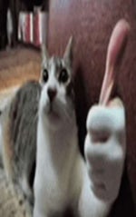 dissapointed ahh beat