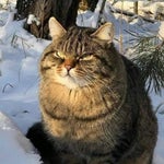 Zeus! Your son has returned