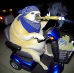 You don't seem to understand, Earth isn't your's to conquer.