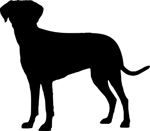 Sonido de Shitpost 1 Alarma de peligro - Sound