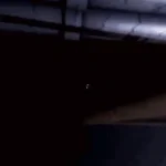 Agony. jgems springtrap