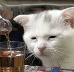 Careless Whisper saxophone cover 2021 Manu López