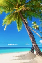 One Punch Man - Official Opening - The Hero!!