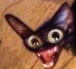 laughing dog meme