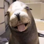 Yuno Miles - Sea Lion(cut) (copy)