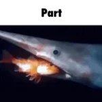 color of stool (copy) - Sound