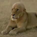 CS2 gravity ahh fart