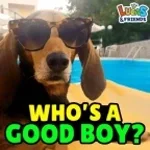 whos my good boy ME ME ME (copy)
