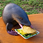 num num num