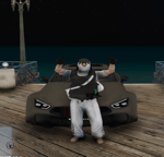 Zuegelpinguin Pygoscelis antarctica AMPLE 814752D