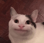 Take The L Dance In Fortnite