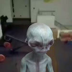 polimardo buenardopolis coscu