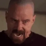I Am the Danger Cornered Breaking Bad