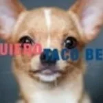yo quiero taco bell (copy)