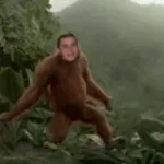 Une souris verte singe