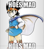 Dragon quest HOES MAD