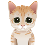 I'm Semi I stay automatic VINE