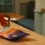 bolinhas de queijo alvin