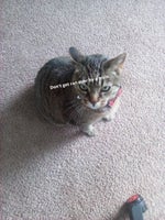 Sorry I didn't mean to do that to you Pookie bear