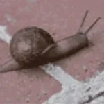 Recording 12/29/25 14:48:24