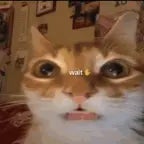 Yeah Yeah Yeahs Wait they don't love you like I love you (Maps)