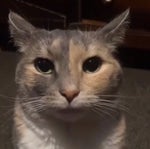 Silly Billy Vs Silly Billy but i animated it