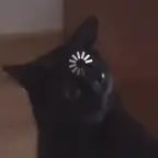 sound when you are confused