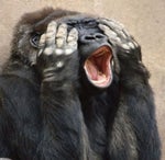 BIPPLEYIPSNIP City girls actupuhluhgoot remixuhten MUSIC VIDEO - Sound