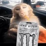 Can Opening (Monster)