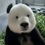 SUPER LOW PUT ON MAX